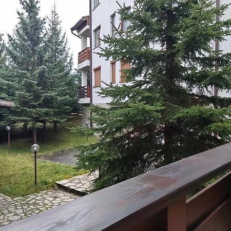 Alpine Escape Design Detelina *