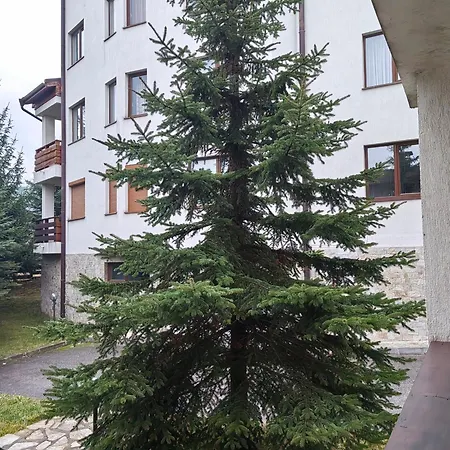 Appartement Alpine Escape Design Detelina *